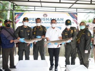 Lindungi Ekosistem, Karantina Jambi Musnahkan Ikan Sapu-sapu dan Aligator Gar